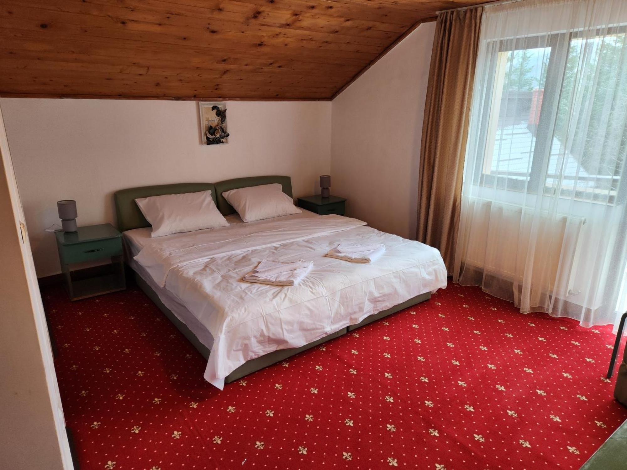 Holiday Houses Sinaia Exterior photo